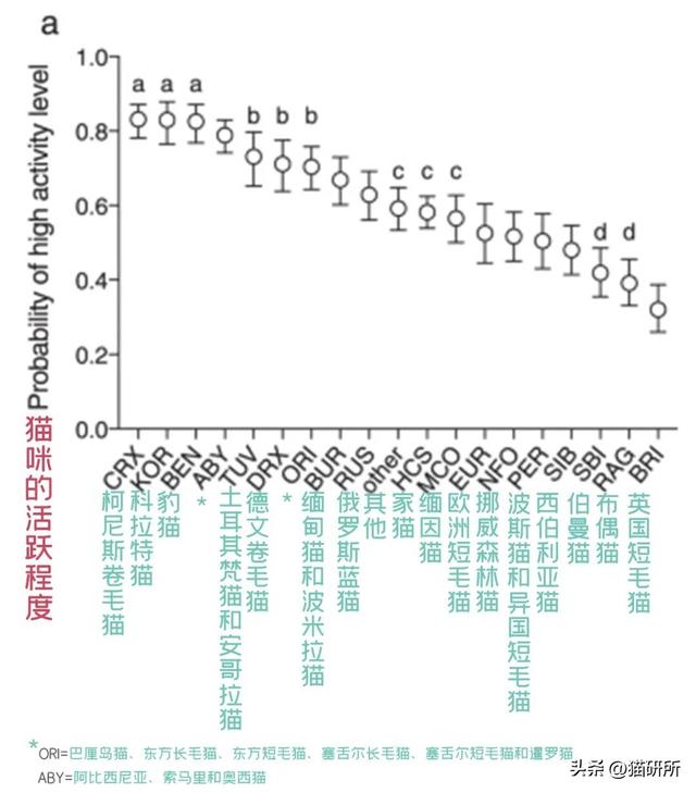 生肖牛的性格特征大盘点，十二生肖牛性格特点（社牛猫咪的6个行为特征）