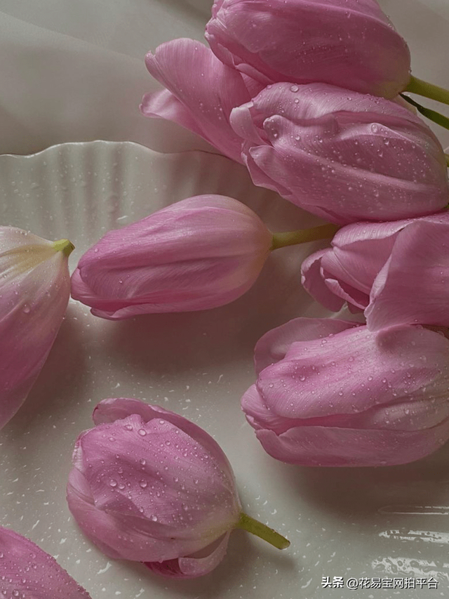 12种颜色的图片（2022秋冬十大流行色）