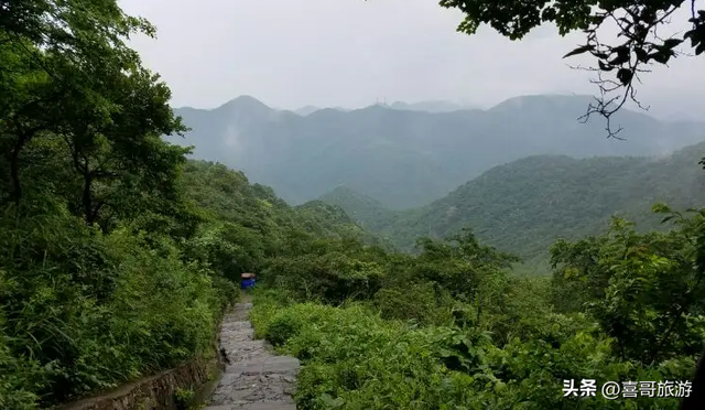 北仑森林植物园，宁波市12月份适合旅游的地方（浙江宁波市北仑区值得游玩的旅游景点有哪些）