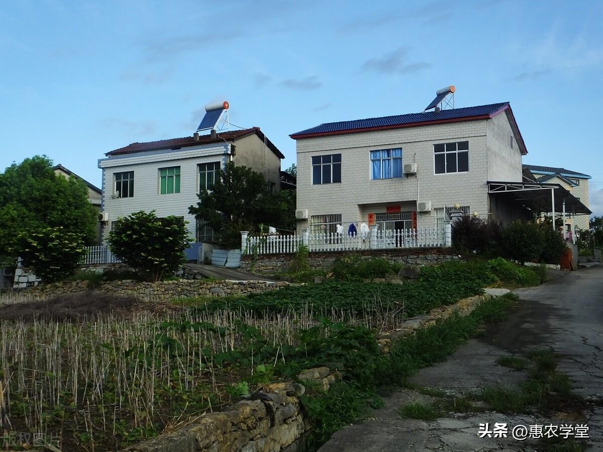 同一人证明怎么开（农村房地一体宅基地怎么确权）