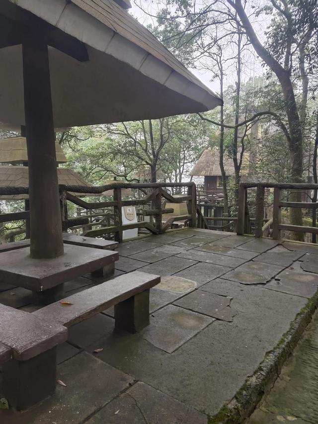 歌乐山森林公园，重庆旅游必去景点（歌乐山国家森林公园）