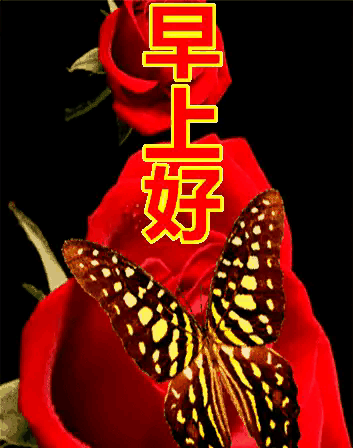 03年属什么生肖，03年属什么（2023年04月03日）