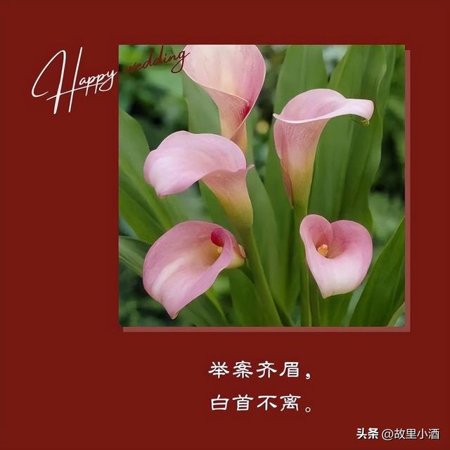 新婚祝福简短话，新婚祝福小短句（新婚祝福语：举案齐眉）