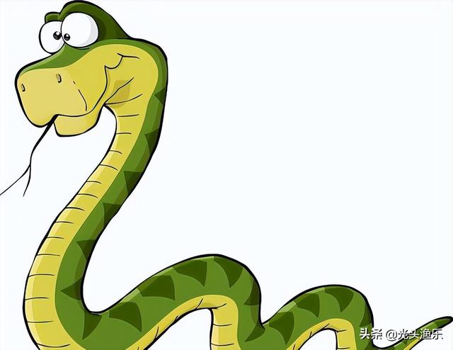蚺和蟒的区别，2020蟒蛇把一家5口人吃了（老话讲：大蛇为蟒，巨蟒为蚺）