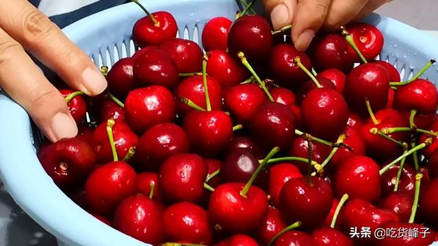 车厘子是不是樱桃，车厘子和樱桃是一样吗（车厘子和大樱桃傻傻分不清）