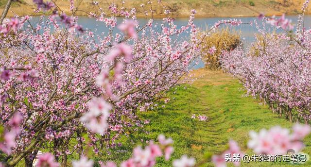 六安旅游景点哪里好玩，六安必游景点（自驾800公里大别山风景道必去之地）