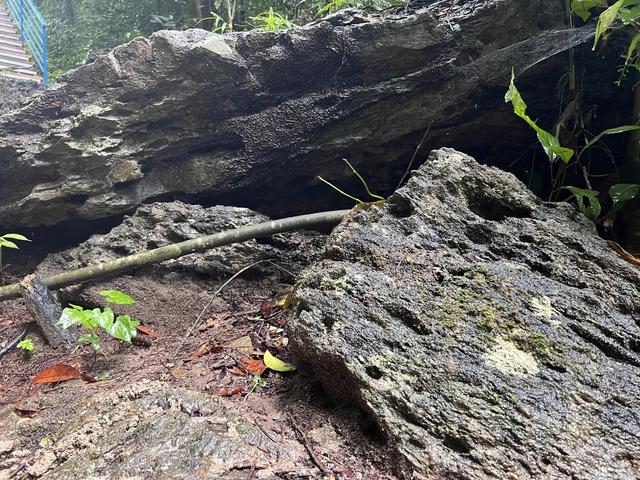 七仙岭带你爬山，假期运动量统统献给了这个热带雨林