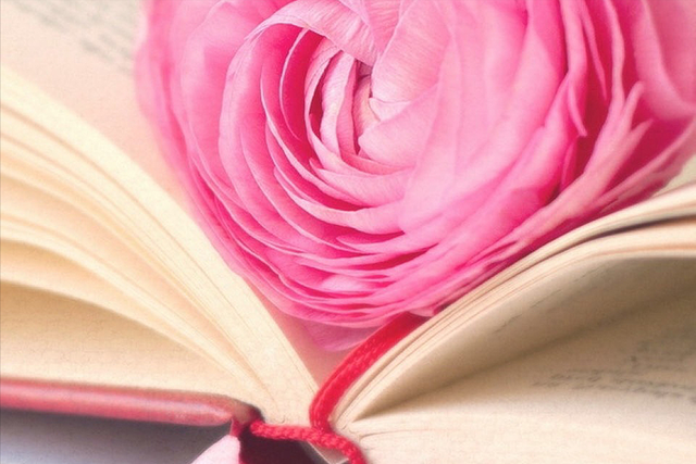 心态的句子，正能量阳光心态的句子（令人瞬间心情大好的句子）