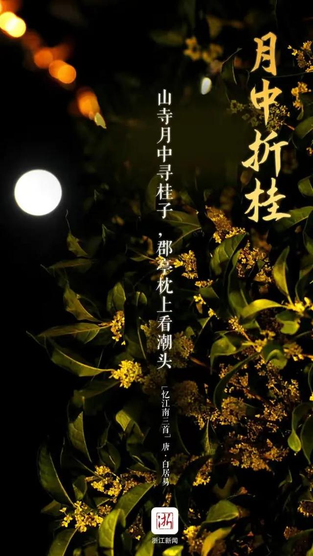古人不见今时月，古人不见今时月的下一句（今人不见古时月）