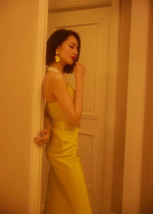 刘惜君是哪里人，刘惜君美图（刘惜君出生）