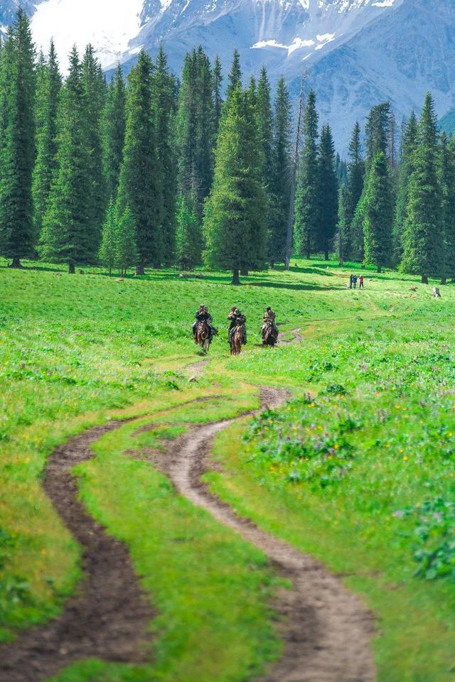 暑假去哪里旅游好，暑假去哪里旅游好玩2021（最适合去的12个美景地）