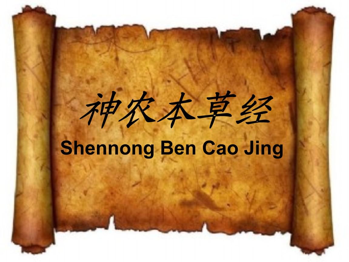 中药大全名字以及功效,中医药文摘一药"多味"与"多