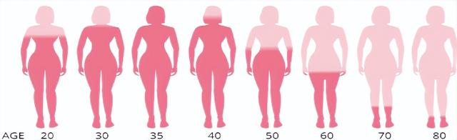 雪蛤油的功效与作用，雪蛤的功效与作用（改善女性更年期综合征的一方食疗推荐）