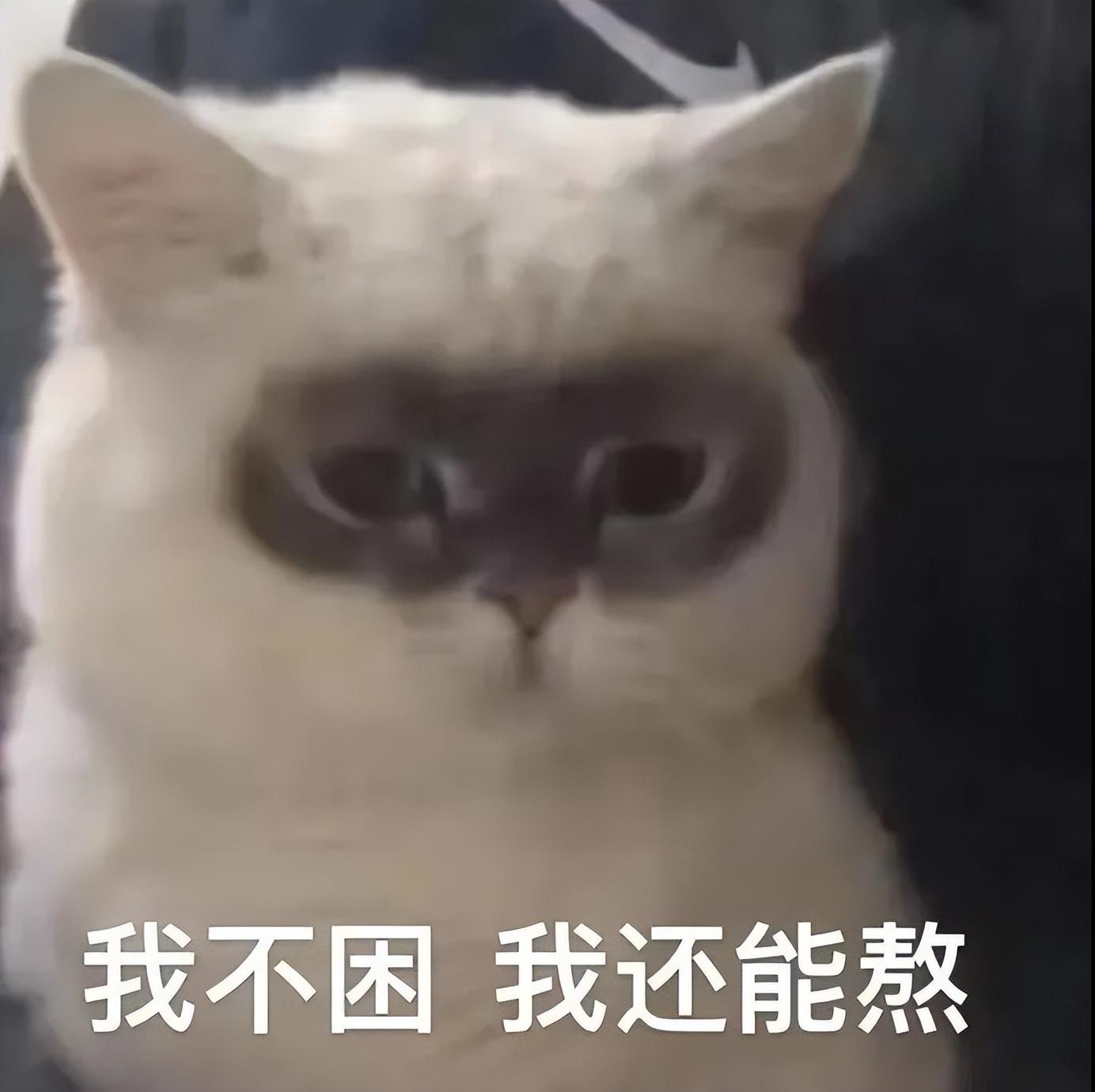 好看的表情包(10000种表情包图片大全)