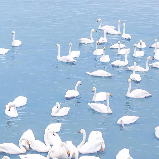 天蓝色背景图，林池染/天空意境背景图/天空是蔚蓝色，微信头像（蓝色温柔乡）