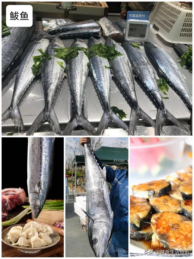 40种“好吃不贵”的野生海鱼（上），附：价格和吃法，请收藏