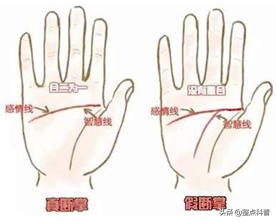相學中雙手斷掌有何說法,男兒斷掌千斤兩 相學中雙手斷掌有何說法,男兒斷掌千斤兩
