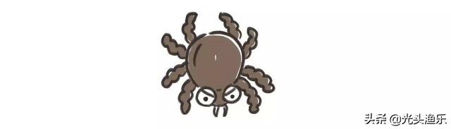 蜱虫有毒吗，蜱虫的危害（小时候拿来当“玩具”的蜱虫）