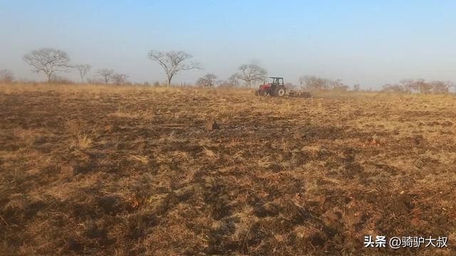 非洲最富有的国家，非洲富裕的国家排名（最穷国家津巴布韦）