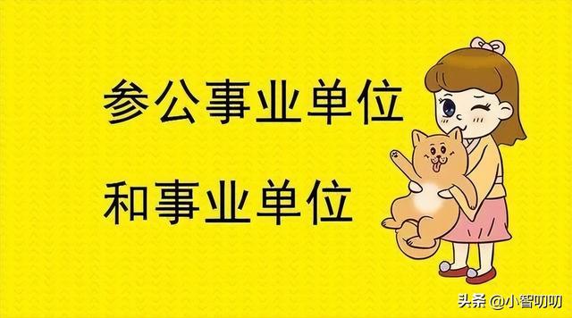 岗位类别怎么填，岗位类别有哪些（带你分清事业单位的类别）