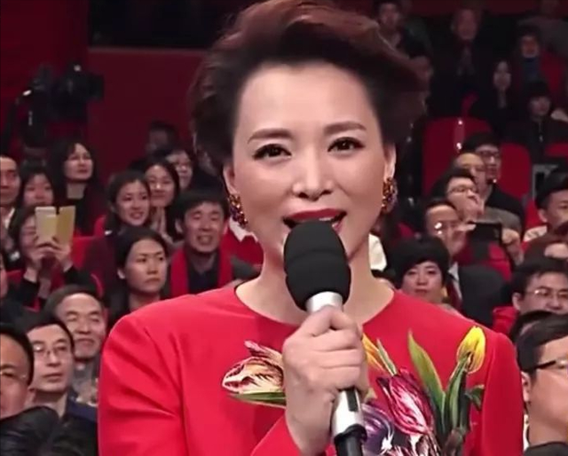 央视主持人董卿的简介，央视主持人董卿的简介国籍（从“央视一姐”到跌落神坛）