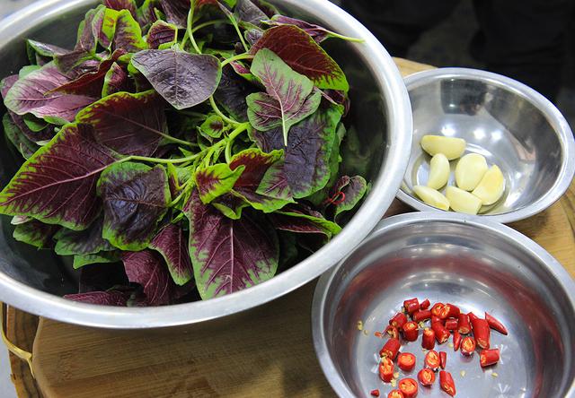 菜类蔬菜名字，菜类蔬菜名字大全（一天的钙都补足了）