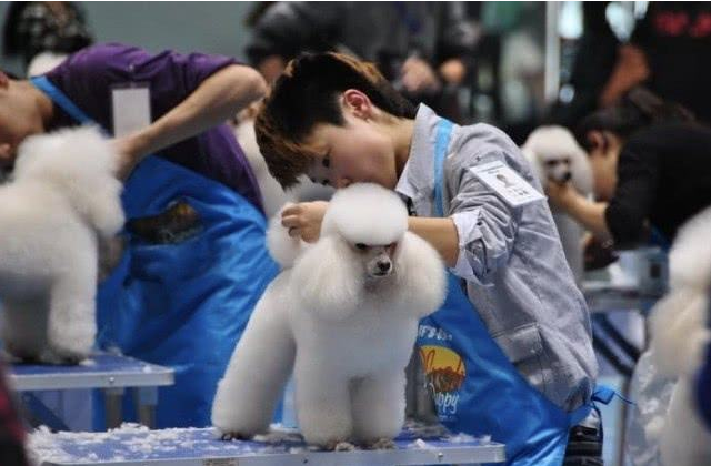 杭州工作好找吗，请问杭州工作好找吗（大学生们的就业面又宽了）