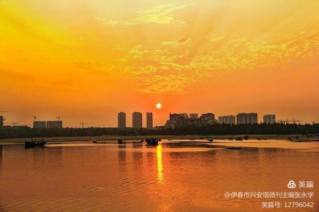 绿色军衣的歌词，绿色军衣歌词（铁十四师战友《辞旧迎新》网上联欢晚会专辑）