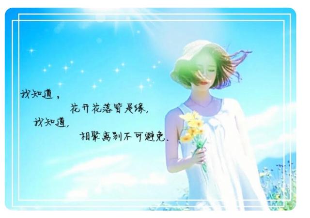 应运而生的同义词，应运而生造句（形容出现的成语总结）