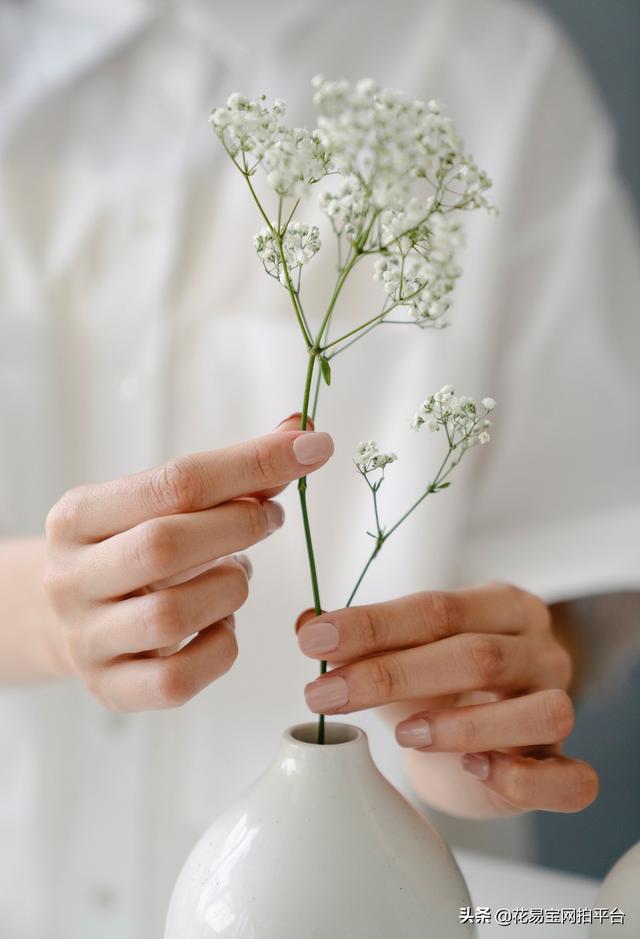 Gypsophila 满天星网名，Gypsophila 满天星（千万星、百万星、伊洛斯有何区别）