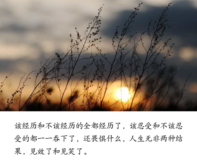 如何把别人发过来的二维码识别出内容呢，别人发了微信二维码要怎么识别（二维码生成及美化神器）