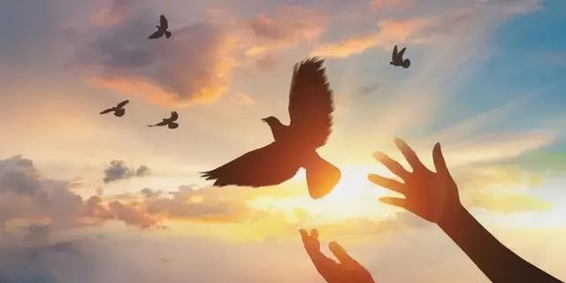 怎样理解优秀的含义，何为优秀?对此的理解（优秀是一种理性的自我认知）