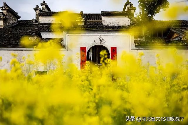 吴江七个古镇排名，一生至少要去一次的中国最美古镇