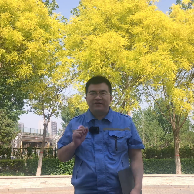 北京小客车摇号结果查询，北京小客车摇号官网结果（具体的操作流程你知道吗）
