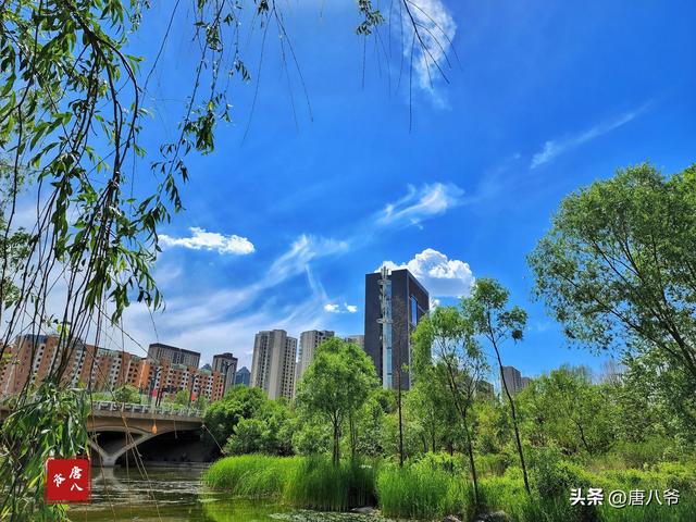 夏天有什么景色，夏天有哪些景色的描写（夏天的美景）