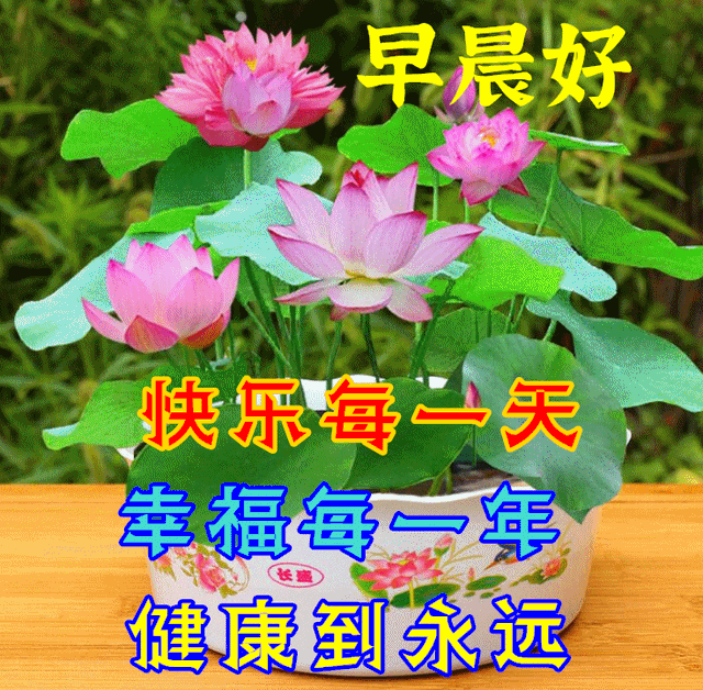 充满阳光正能量的文字图片，充满阳光正能量的说说配图（早安心语，正能量最美语录说说）