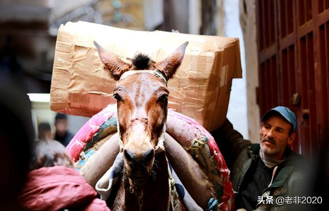 摩洛哥和摩纳哥有什么区别，摩洛哥和摩纳哥有什么区别英文（摩洛哥15天自驾攻略）