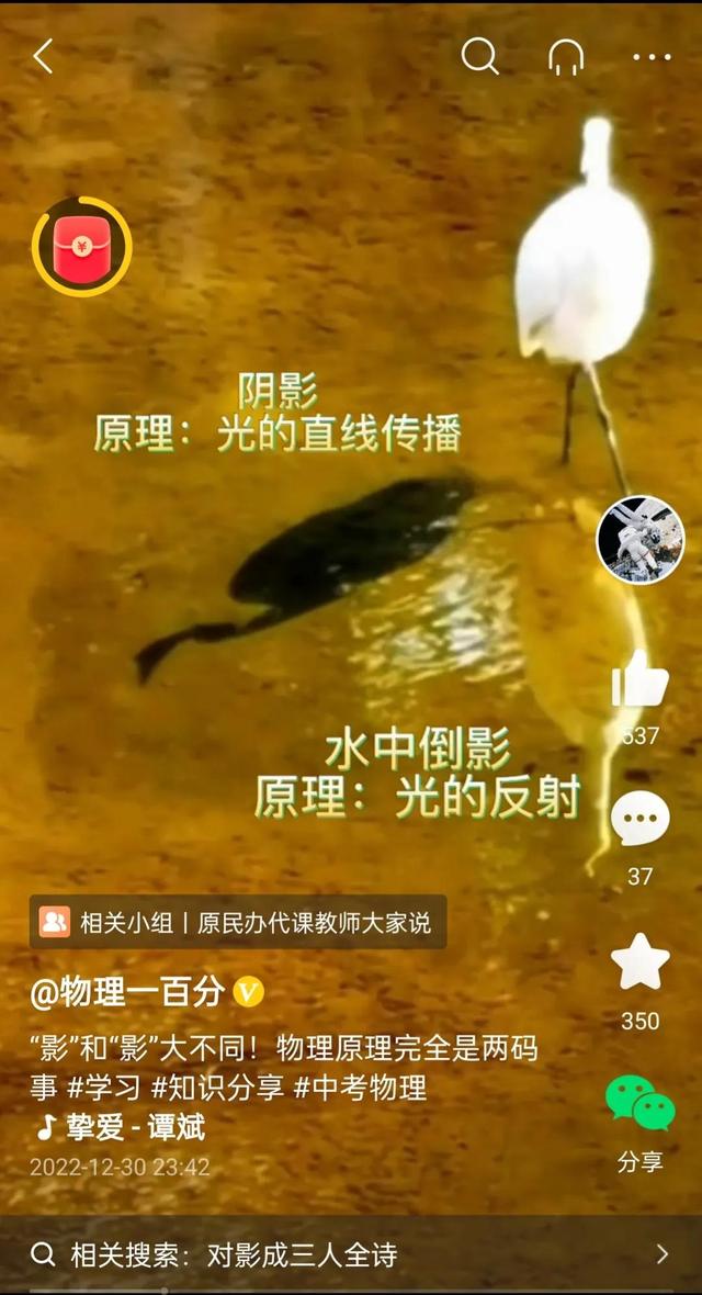 奇数偶数是什么意思，偶数是什么意思（小学生都能读懂的巧辨质数）