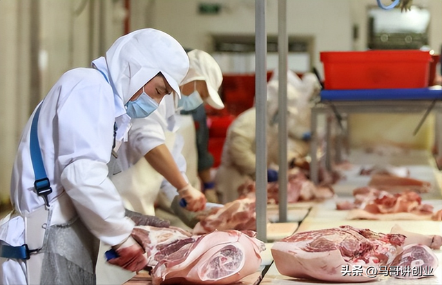 养殖业什么最赚钱农村，这3个农村致富好项目