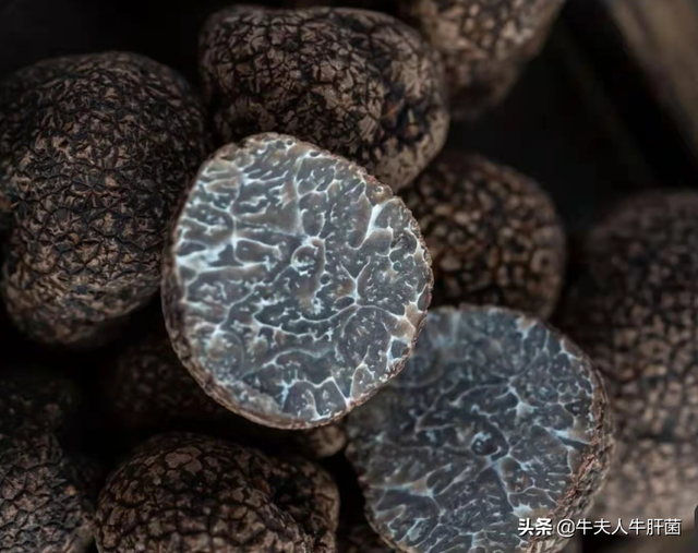 菌类有哪些，黄色的菌类有哪些（吃过三种就是人生赢家）