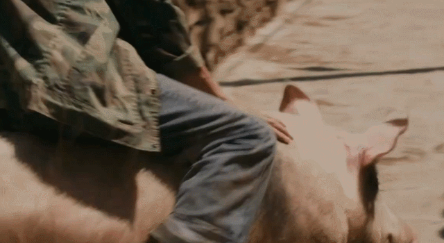 盘龙卧虎高山顶的演员，盘龙卧虎高山顶的演员是谁（把汤唯和蒋勤勤等女星放在一起）