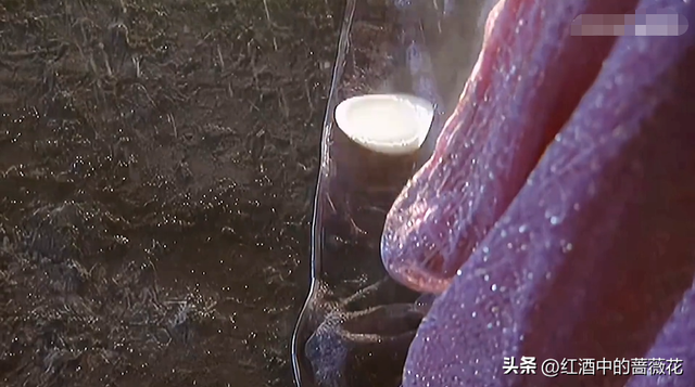 天龙八部黄日版中西夏公主是谁，天龙八部的西夏公主是谁（把黄纪莹和王海珍两版梦姑放在一块对比）