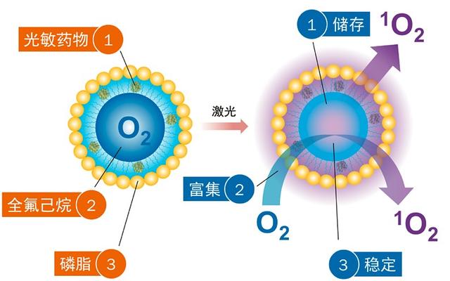 口腔内壁长了个白色凸起图片，嘴内壁起一个泡是什么原因（提醒：口内出现这种东西）