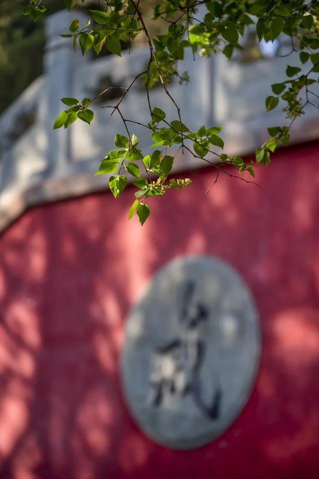 北京风景优美的地方，北京十大最值得去的景点（古寺寻幽、山林品茶）