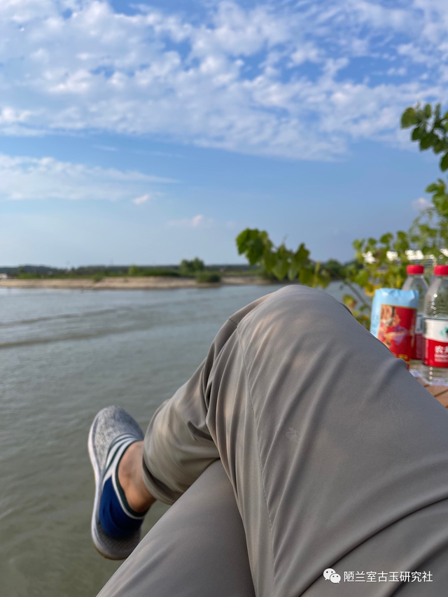 及锋而试指什么动物，锋正确答案生肖是什么动物（<第十八回>养精蓄锐以待及锋而试）