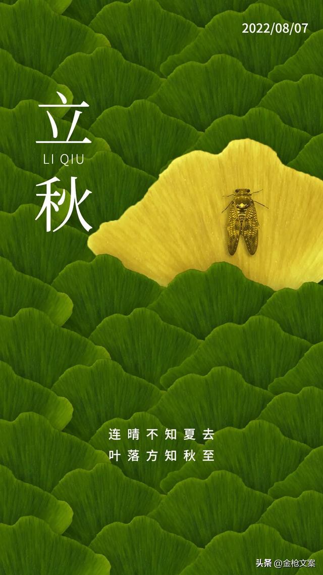 立秋节气的风俗，立秋的节气风俗有哪些（立秋节气，习俗你都知道多少呢）