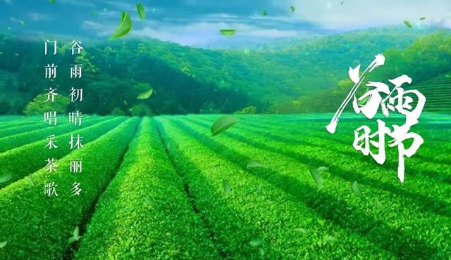 关于谷雨的古诗，关于谷雨的古诗有哪些（一起感受古诗词里的谷雨）