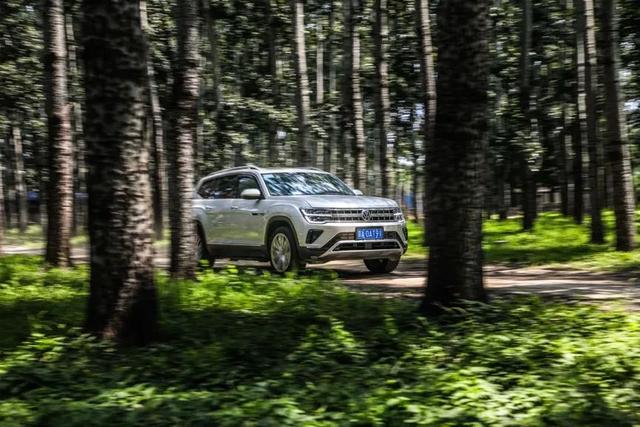 途昂油耗多少钱一公里，途昂每公里油耗多少钱（数字化升级的全新途昂）