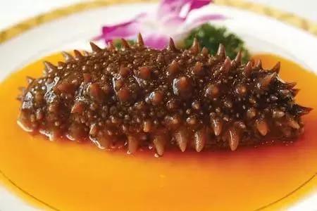 干海参泡发的正确方法，干海参泡发的正确方法视频（最全面的干海参泡发方法）