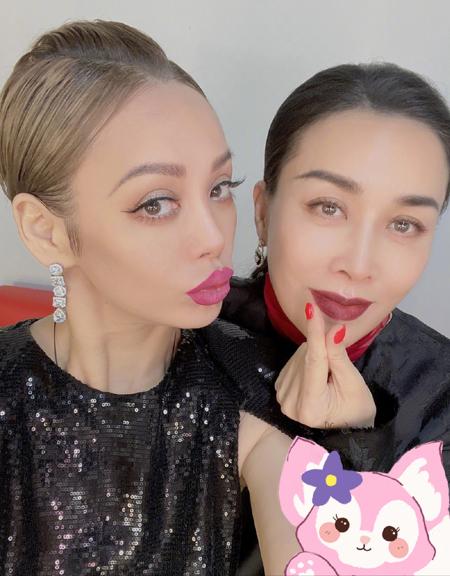 香港姐妹主题曲，【袁咏仪电影】演员袁咏仪主演电影简介（“伴舞”张天爱完美如Ai）